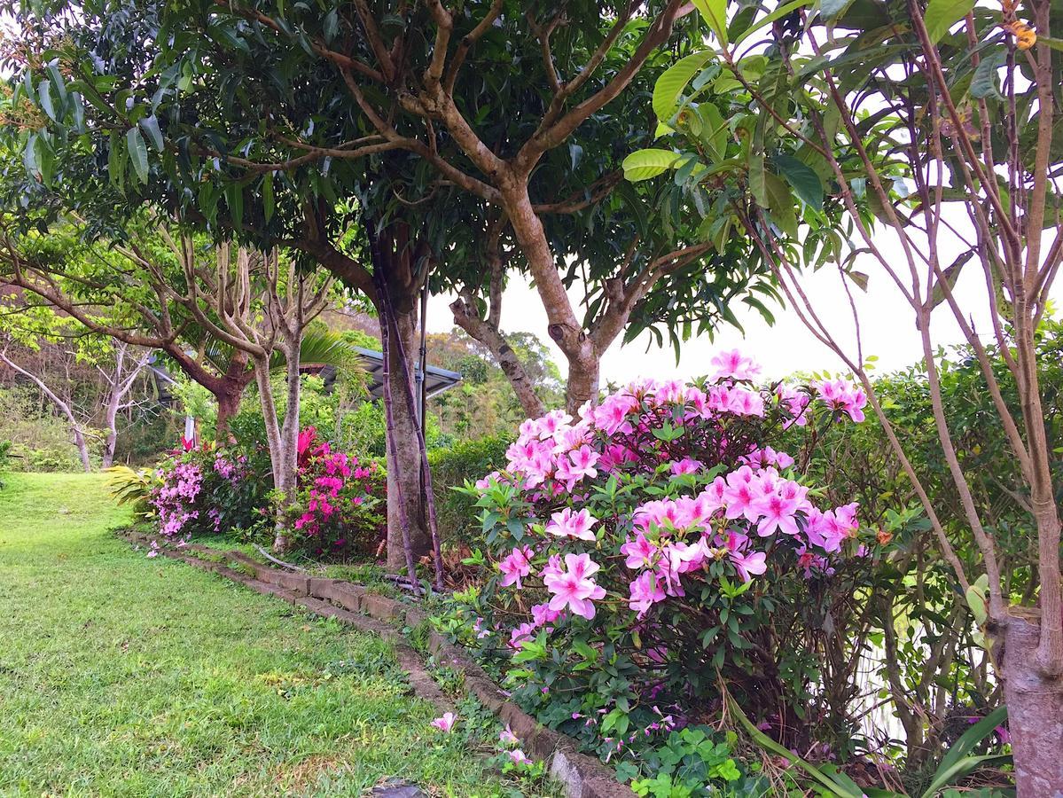 Jiu An Qing Jing Homestay Fuli Exterior photo
